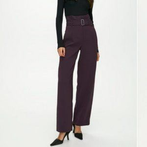 Aritzia Babaton High-Waisted Wide Leg Power Pant